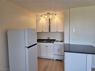 Recently remodeled throughout, this unit offers everything you - photo 4
