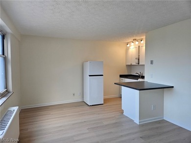 Recently remodeled throughout, this unit offers everything you - photo 5