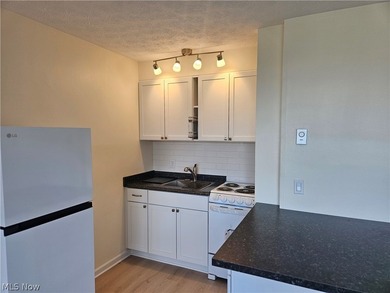 Recently remodeled throughout, this unit offers everything you - photo 6