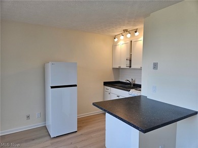 Recently remodeled throughout, this unit offers everything you - photo 7