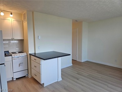Recently remodeled throughout, this unit offers everything you - photo 9
