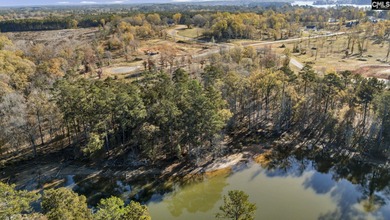 Come discover Woodside Shores, a refreshing new lakefront - photo 6