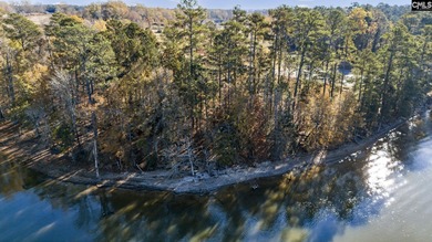 Come discover Woodside Shores, a refreshing new lakefront - photo 8