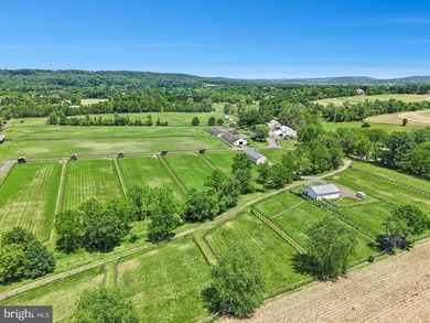Nestled in the heart of New Hope-one of Bucks County's most - photo 1