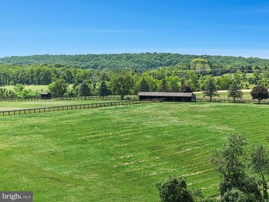 Nestled in the heart of New Hope-one of Bucks County's most - photo 6
