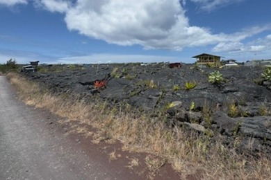 An excellent opportunity to own two adjacent parcels in the - photo 8