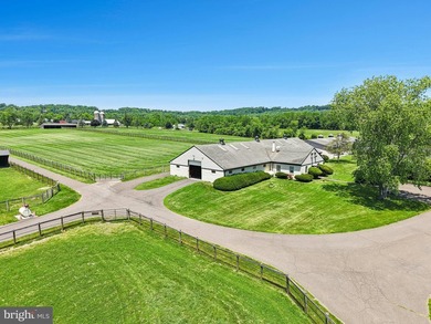 Nestled in the heart of New Hope-one of Bucks County's most - photo 8