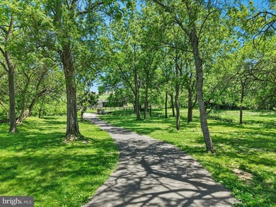 Nestled in the heart of New Hope-one of Bucks County's most - photo 10