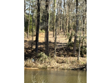 Open Water Cove! Improvement Price $175000 - photo 4