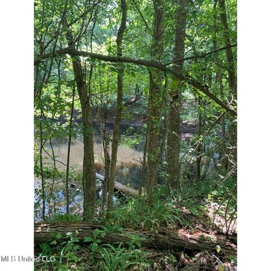 Survey completed 9/16/2025. 22.43 beautiful acres in the - photo 4