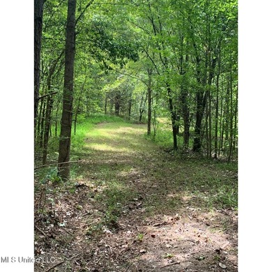 Survey completed 9/16/2025. 22.43 beautiful acres in the - photo 5