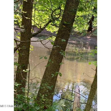 Survey completed 9/16/2025. 22.43 beautiful acres in the - photo 6