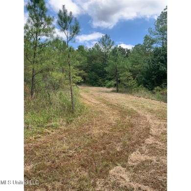 Survey completed 9/16/2025. 22.43 beautiful acres in the - photo 7