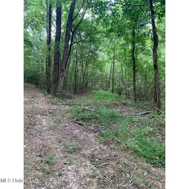 Survey completed 9/16/2025. 22.43 beautiful acres in the - photo 8