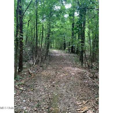 Survey completed 9/16/2025. 22.43 beautiful acres in the - photo 9