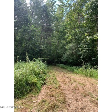 Survey completed 9/16/2025. 22.43 beautiful acres in the - photo 10