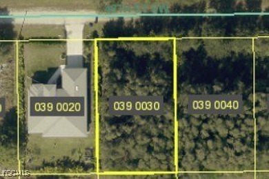 Lehigh Acres Area Lot For Sale in Lehigh Acres Florida