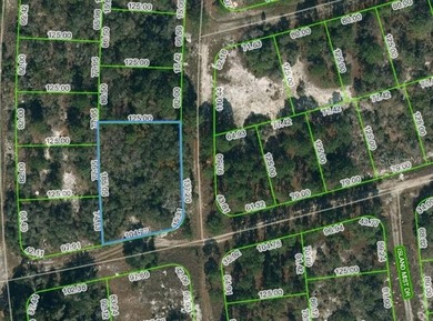 Lake Grassy Lot For Sale in Lake Placid Florida