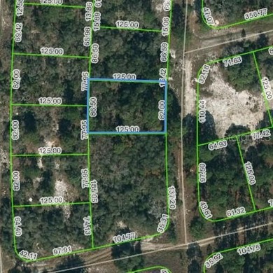Lake Grassy Lot For Sale in Lake Placid Florida