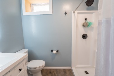 Fully remodeled, modern lake home with 10' lake access - photo 23