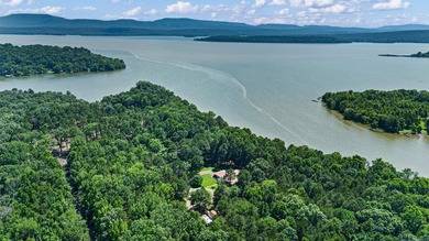 WATERFRONT PROPERTY WITH BOAT DOCK! Experience peaceful country - photo 4