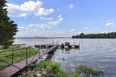 WATERFRONT PROPERTY WITH BOAT DOCK! Experience peaceful country - photo 5