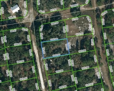 Lake Grassy Lot For Sale in Lake Placid Florida