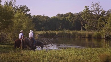 (private lake, pond, creek) Acreage For Sale in Eustace Texas