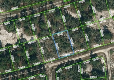 Lake Grassy Lot For Sale in Lake Placid Florida