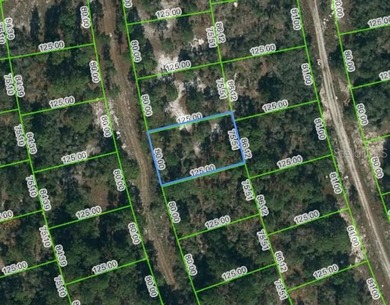 Lake Grassy Lot For Sale in Lake Placid Florida
