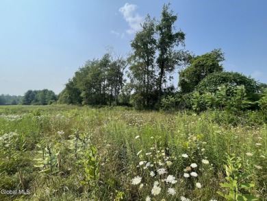 (private lake, pond, creek) Acreage For Sale in Charlton New York