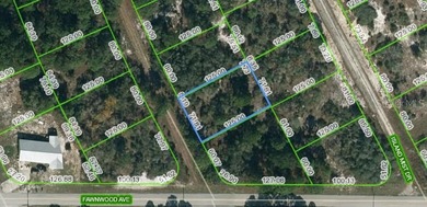 Lake Grassy Lot For Sale in Lake Placid Florida
