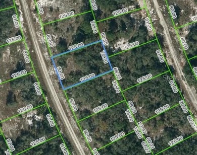 Lake Grassy Lot For Sale in Lake Placid Florida