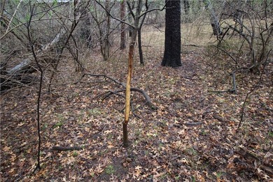 Awesome lot, country life on the edge of town. Close to the city - photo 11