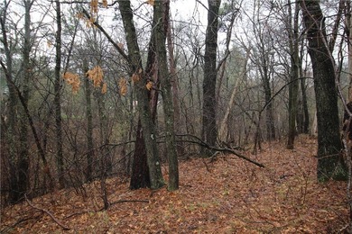 Awesome lot, country life on the edge of town. Close to the city - photo 12