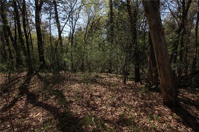 Awesome lot, country life on the edge of town. Close to the city - photo 13