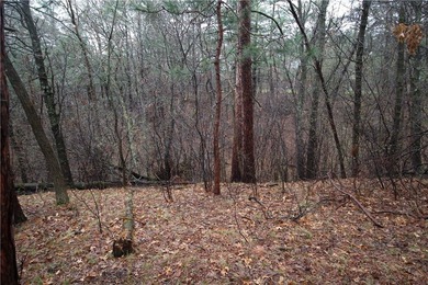 Awesome lot, country life on the edge of town. Close to the city - photo 14