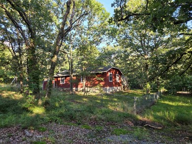A rare find in Mena - a rustic home on 5 beautiful acres with - photo 9