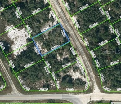 Lake Grassy Lot For Sale in Lake Placid Florida