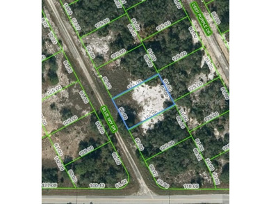Lake Grassy Lot For Sale in Lake Placid Florida
