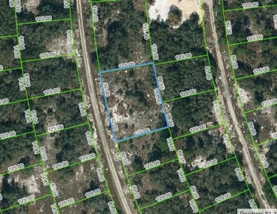 Lake Grassy Lot For Sale in Lake Placid Florida