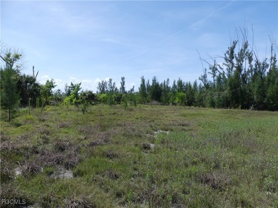 Lake Lot For Sale in St. James City, Florida