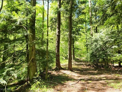 (private lake, pond, creek) Acreage Sale Pending in Painesville Twp Ohio