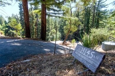 A paved private road winds through majestic redwoods and pines - photo 2