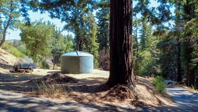 A paved private road winds through majestic redwoods and pines - photo 3