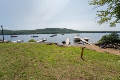 Fully remodeled, modern lake home with 10' lake access - photo 4