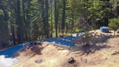 A paved private road winds through majestic redwoods and pines - photo 5
