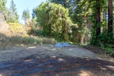 A paved private road winds through majestic redwoods and pines - photo 7