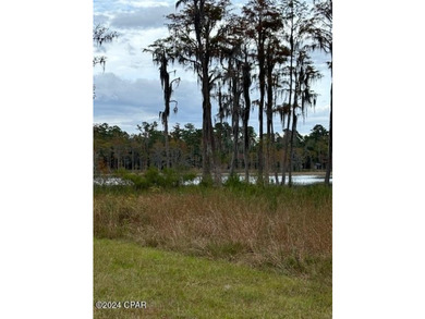 Beautiful Lake front lot on private lake, Enjoy over 2 acres on - photo 12