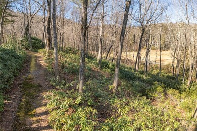 Nestled between the 5th green and the 6th tee, this 2.77-acre - photo 12